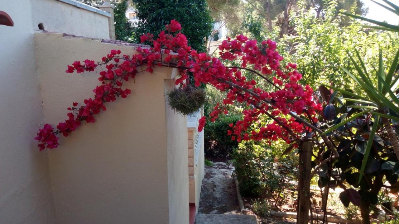 فيلا Casa Montse كالا غلدانا المظهر الخارجي الصورة
